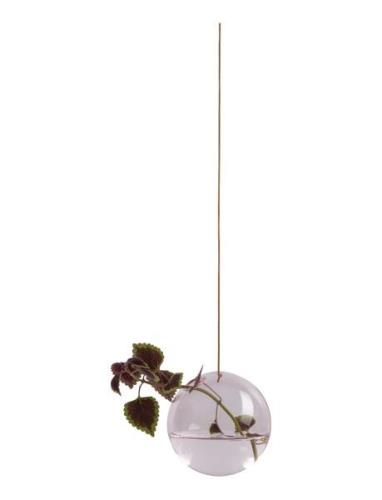 Hanging Flower Bubble Studio About Pink