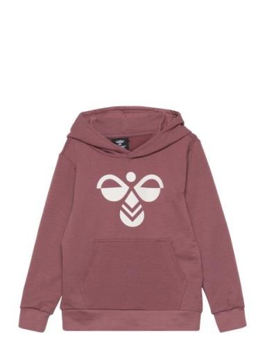 Hmlcuatro Hoodie Hummel Burgundy