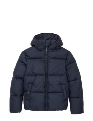 Puffer Winter Jacket With Hood Tom Tailor Navy