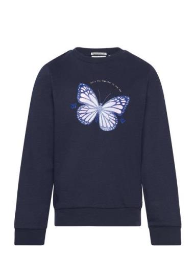 Sweatshirt With Butterfly Print Tom Tailor Navy