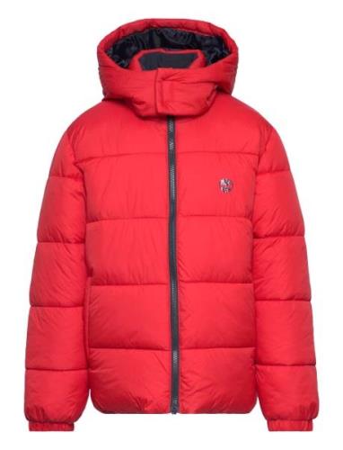 Puffer Jacket Timberland Red