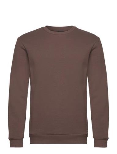 Onsceres Crew Neck Noos ONLY & SONS Brown