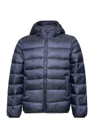 Hooded Jacket Champion Navy