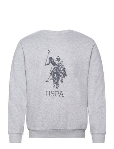 Uspa Sweat O Neck Frejlev Men U.S. Polo Assn. Grey