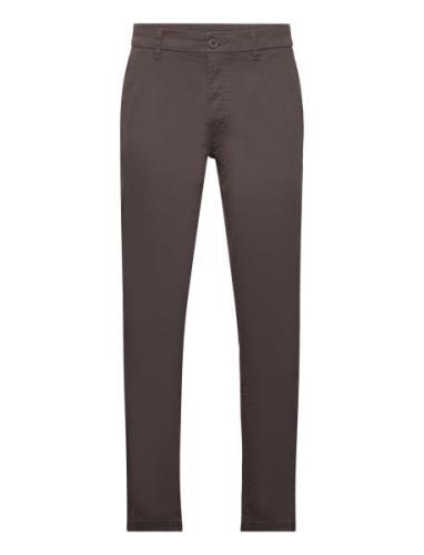 Chino French Connection Brown