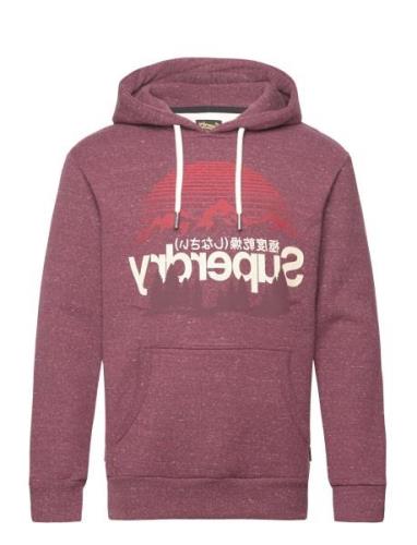 Cl Great Outdoors Graphic Hood Superdry Burgundy