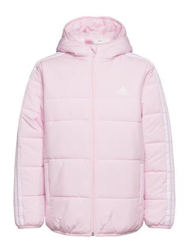 3-Stripes Padded Jacket Kids Adidas Sportswear Pink