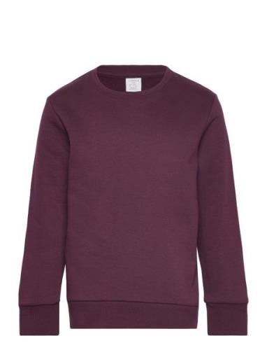 Sweatshirt Basic Lindex Burgundy