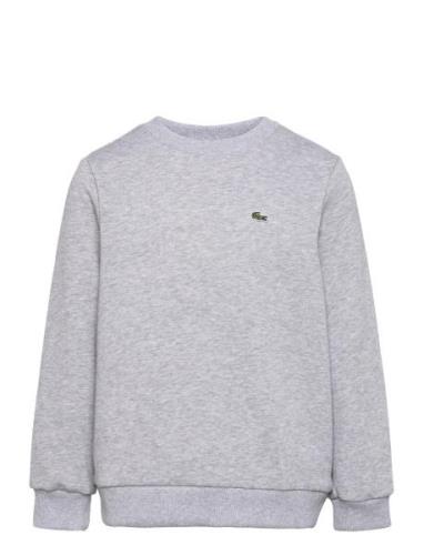 Sweatshirts Lacoste Grey