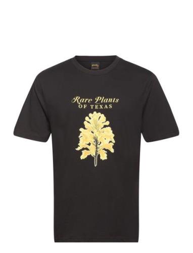 Rare Plants Tee Stan Ray Black