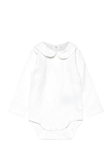 Body Ls W. Collar Fixoni White