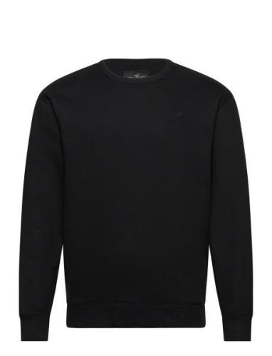 Hco. Guys Sweatshirts Hollister Black