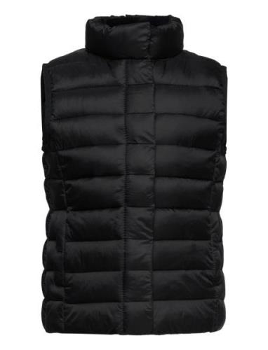 Quilted Gilet Mango Black