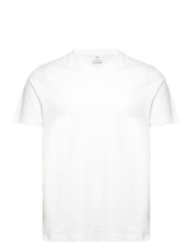Basic Cotton V-Neck T-Shirt Mango White