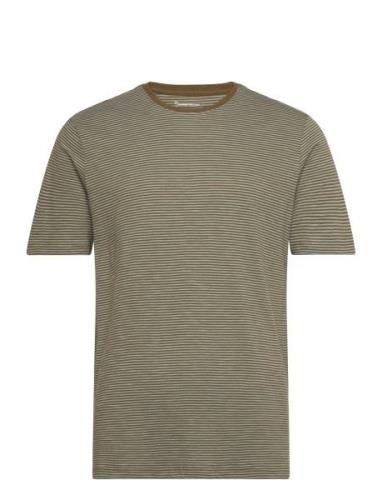 Regular Striped Basic Tee - Gots/Ve Knowledge Cotton Apparel Green