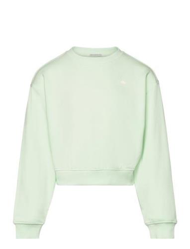 Cropped Printed Sweatshirt Tom Tailor Green