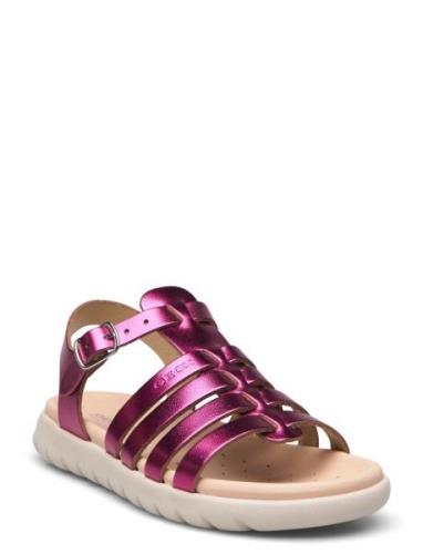 J Sandal Soleima Gir GEOX Pink