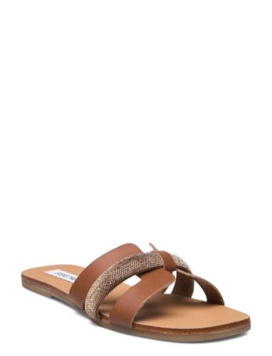 Edriah Sandal Steve Madden Brown