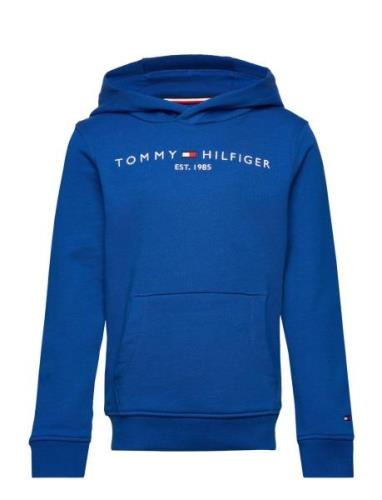 Essential Hoodie Tommy Hilfiger Blue