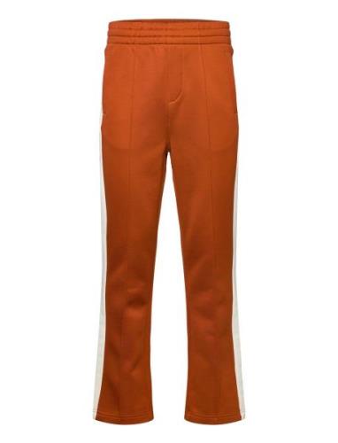 Track Pants GANT Orange