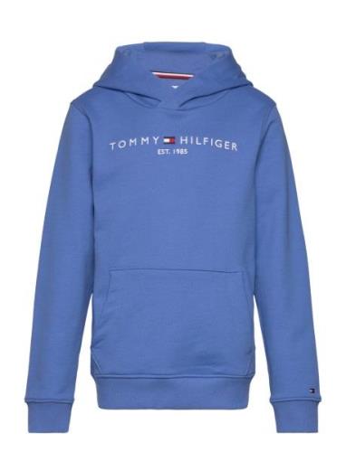 Essential Hoodie Tommy Hilfiger Blue