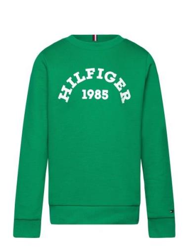 Hilfiger 1985 Sweatshirt Tommy Hilfiger Green