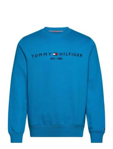 Tommy Logo Sweatshirt Tommy Hilfiger Blue
