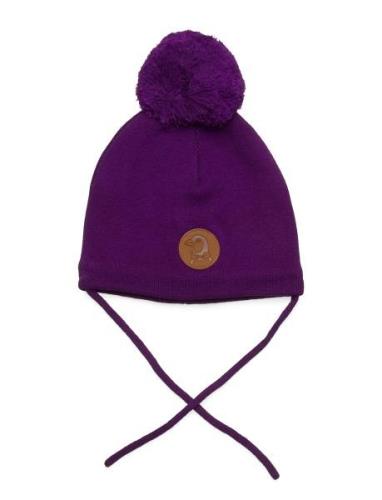 Penguin Hat Mini Rodini Purple