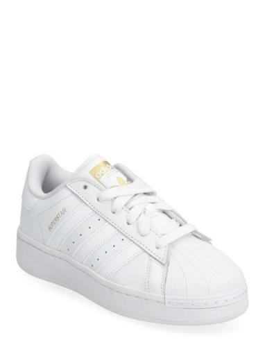 Superstar Xlg J Adidas Originals White