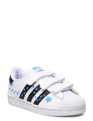 Superstar Cf C Adidas Originals White