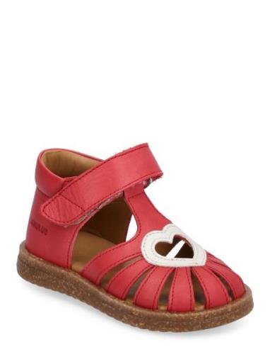 Sandals - Flat - Closed Toe - ANGULUS Red