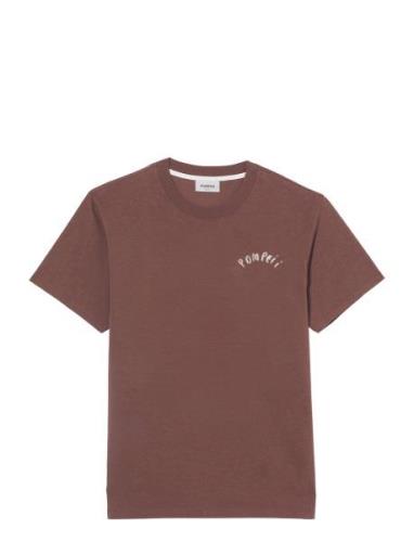 Spa Graphic Tee Pompeii Brown