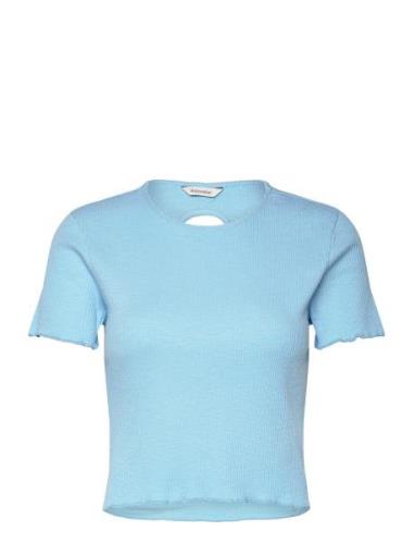 Tree Cropped Tee HOLZWEILER Blue