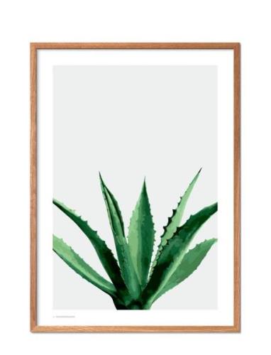 Agave Poster & Frame Patterned