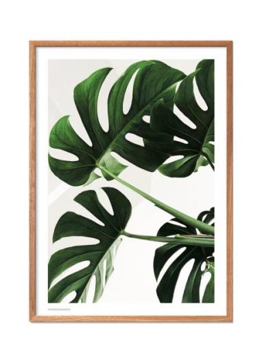 Monstera Poster & Frame Patterned