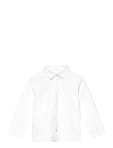 Oxford Cotton Shirt Mango White