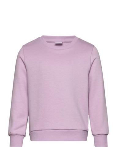 Sweatshirt Basic Lindex Purple