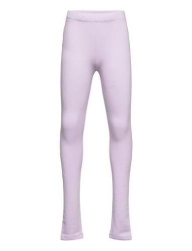 Leggings Basic Brushed Solid Lindex Purple