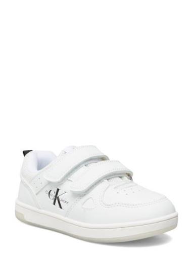 Low Cut Velcro Sneaker Calvin Klein White