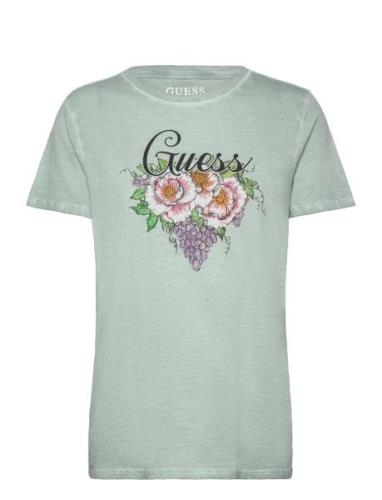 Ss Grape Vine Logo Easy Tee GUESS Jeans Green