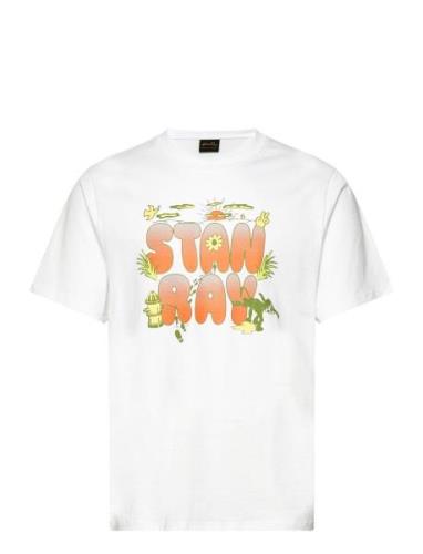 Double Bubble Tee Stan Ray White