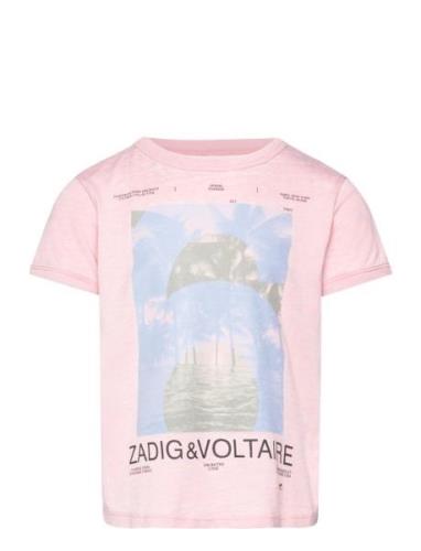 Short Sleeves Tee-Shirt Zadig & Voltaire Kids Pink