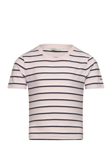 Striped T-Shirt GANT Pink