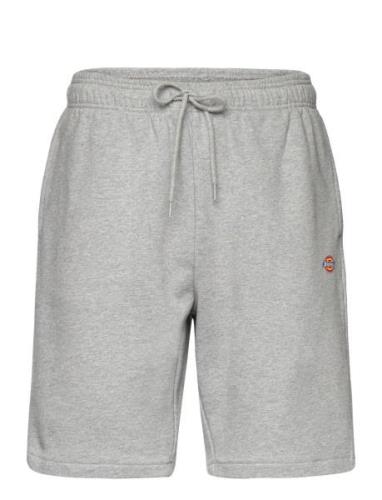 Mapleton Short Dickies Grey