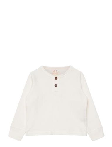 Rib Jersey T-Shirt W. Ls Copenhagen Colors Cream