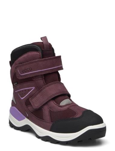 Snow Mountain ECCO Purple