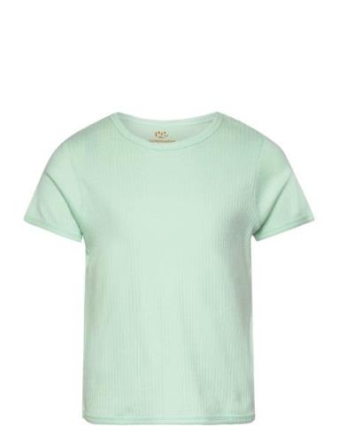 Rib Jersey T-Shirt Copenhagen Colors Green