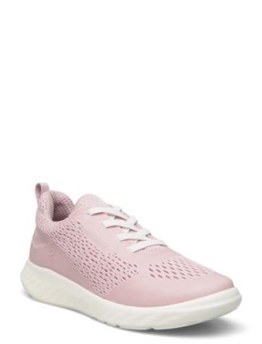 Sp1 Lite K ECCO Pink