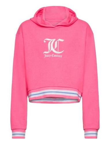 Juicy Rib Tipping Oth Hoodie Lb Juicy Couture Pink