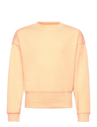 Juicy Chunky Rib Drop Shoulder Crew Lb Juicy Couture Orange